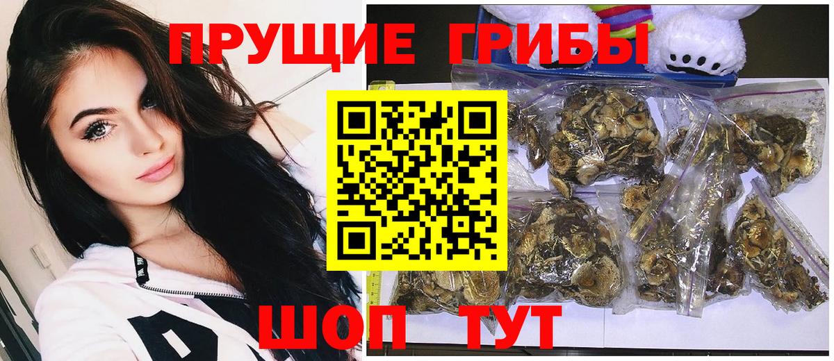 Коряжма  где можно купить наркотик  Вход с VPN  Галлюциногенные грибы Magic Shrooms 