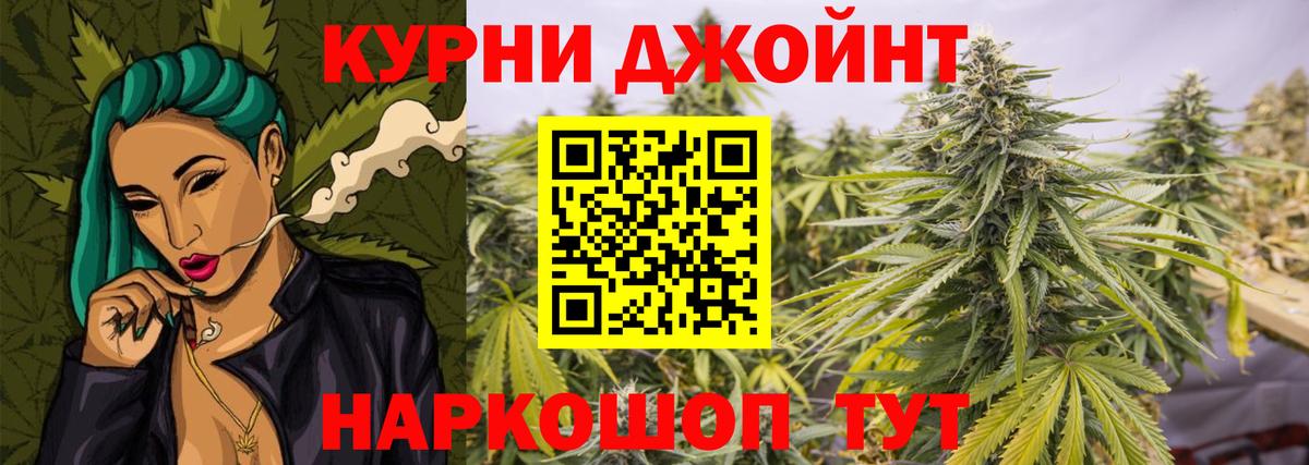 Канабис сатива Коряжма